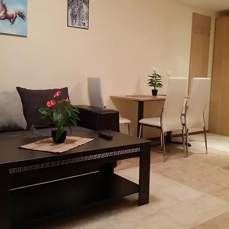 Apartment Kaya House 8